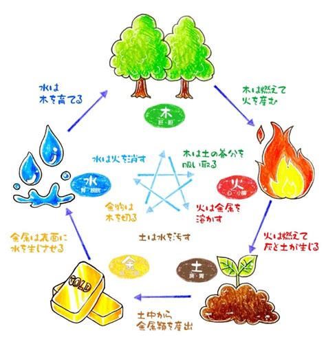 陰陽師五行|陰陽五行説 – 陰陽道・五行説をわかりやすく解説【図。